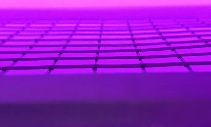 真空蜜桃视频网站观看免费网页機