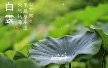 今迎白露，盛夏退場-水蜜桃免费视频蜜桃视频网站观看免费网页機